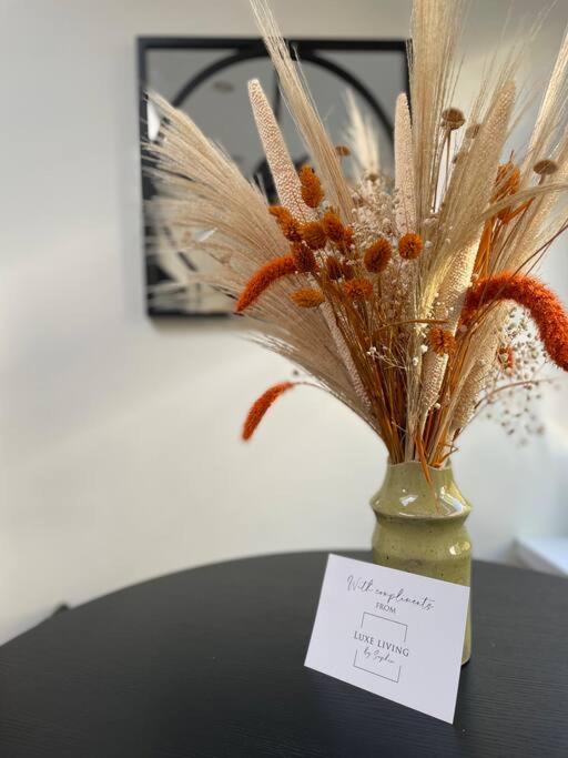 New Luxury For 2024 - Central Plymouth House - Sleeps 10 - Access To Plymouth Town - Close To The Barbican - Pets Welcome - Parking Available - By Luxe Living By Sophia מראה חיצוני תמונה
